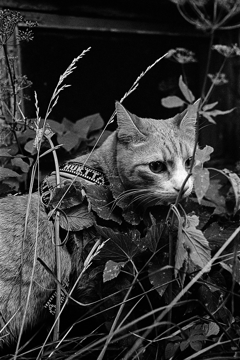 Black and white anlaog photograph of a woman eating a chocolate bar