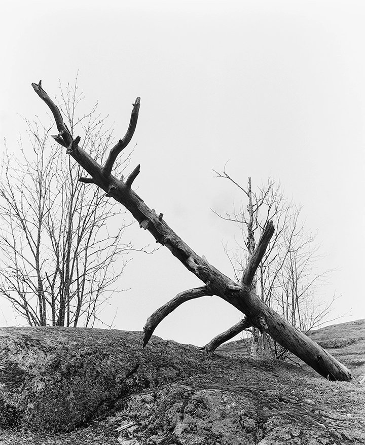 Black and white anlaog photograph of a woman eating a chocolate bar