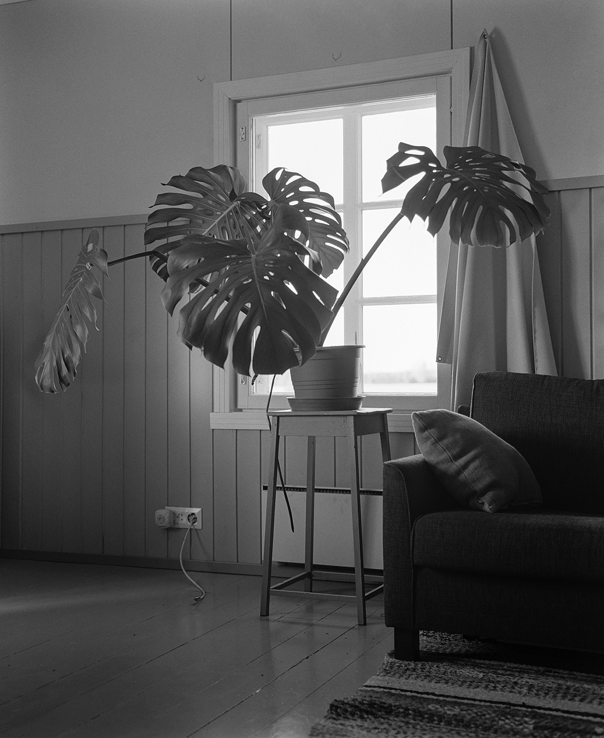 Black and white anlaog photograph of a woman eating a chocolate bar